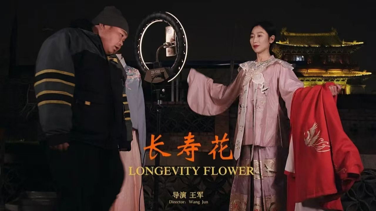 Backdrop for 长寿花