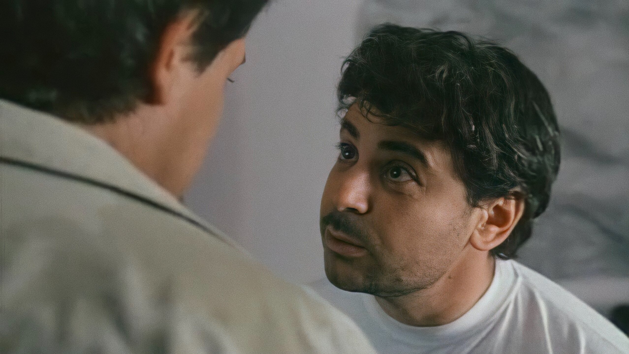 Backdrop for Silver Lily of the Valley