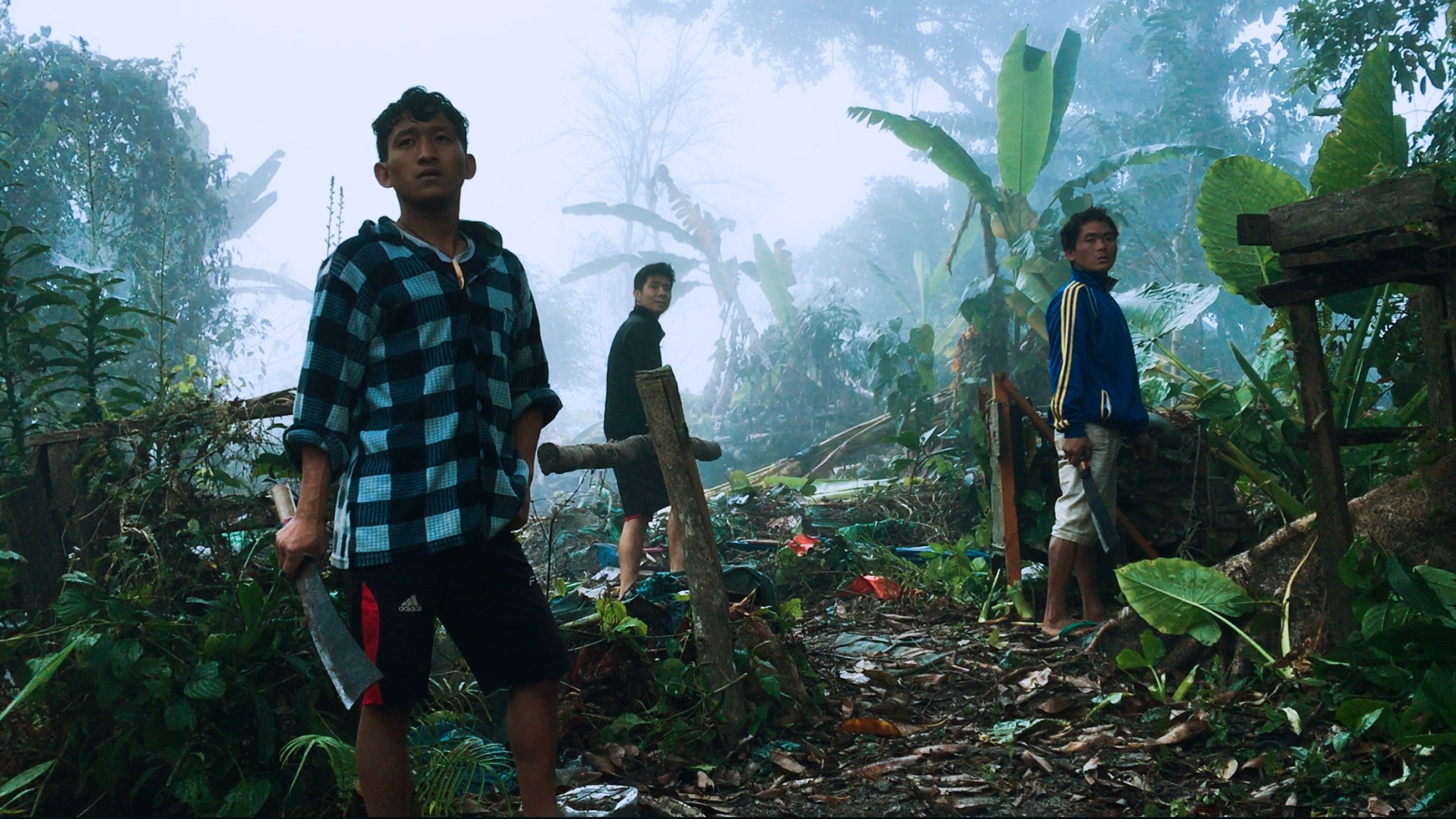 Backdrop for Blood Amber