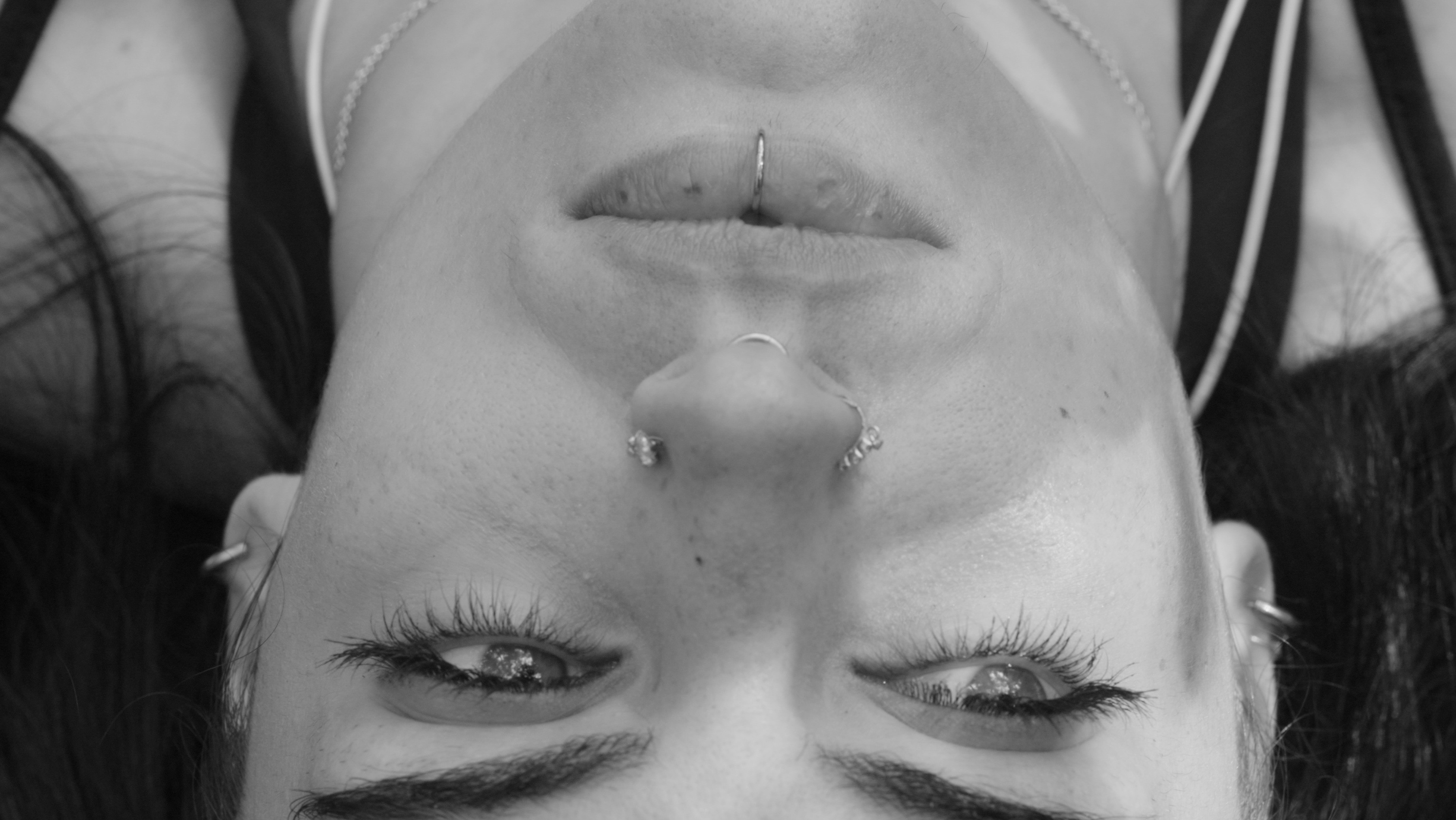 Backdrop for Pavo Cristatus