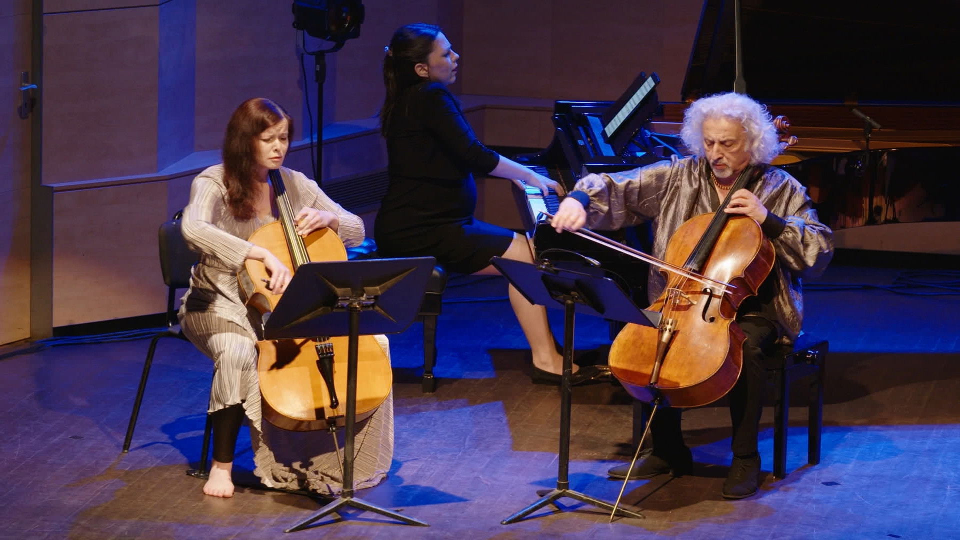 Backdrop for United We Stand - Musicians in Time of War