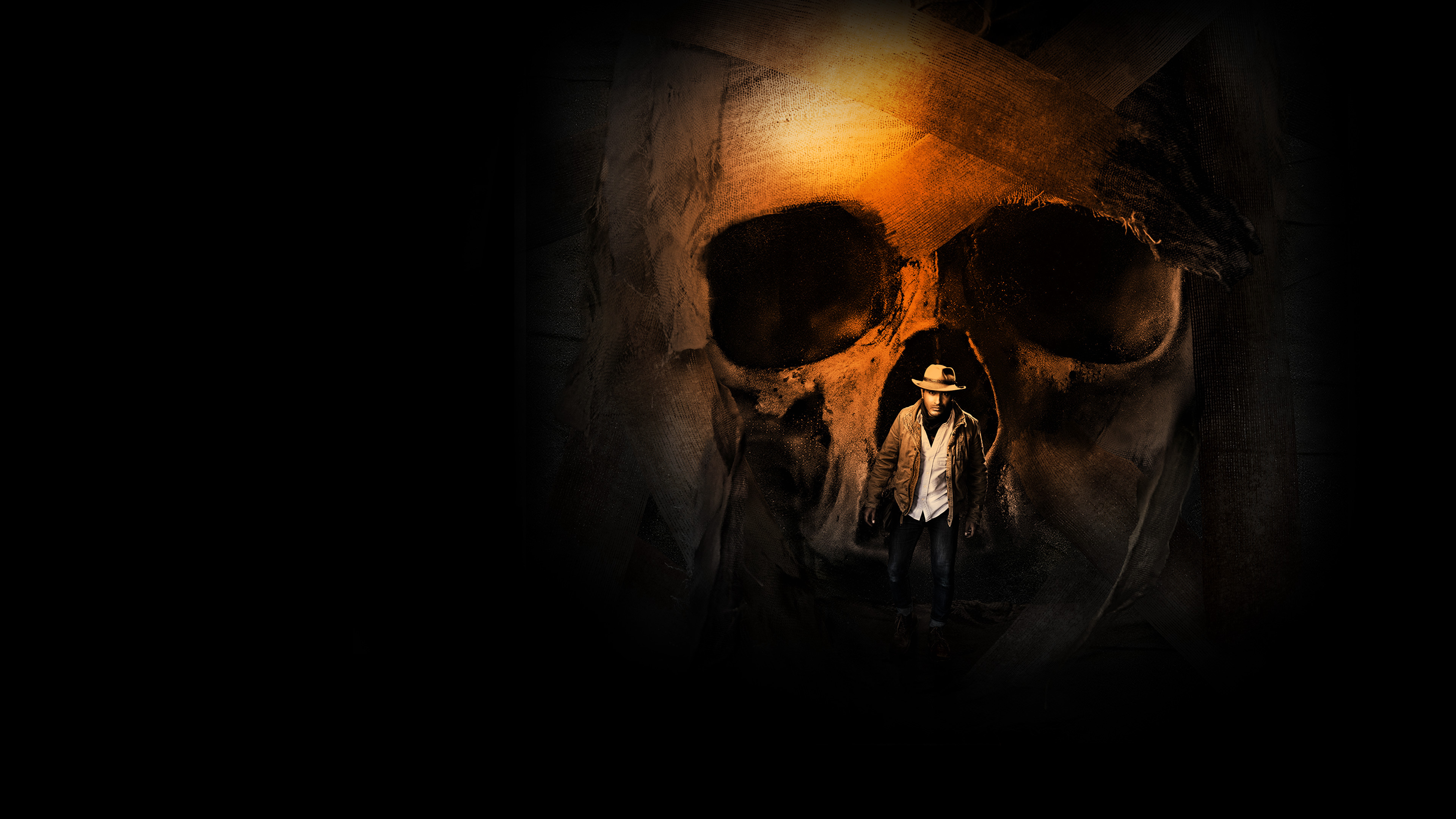 Backdrop for Mummies Unwrapped