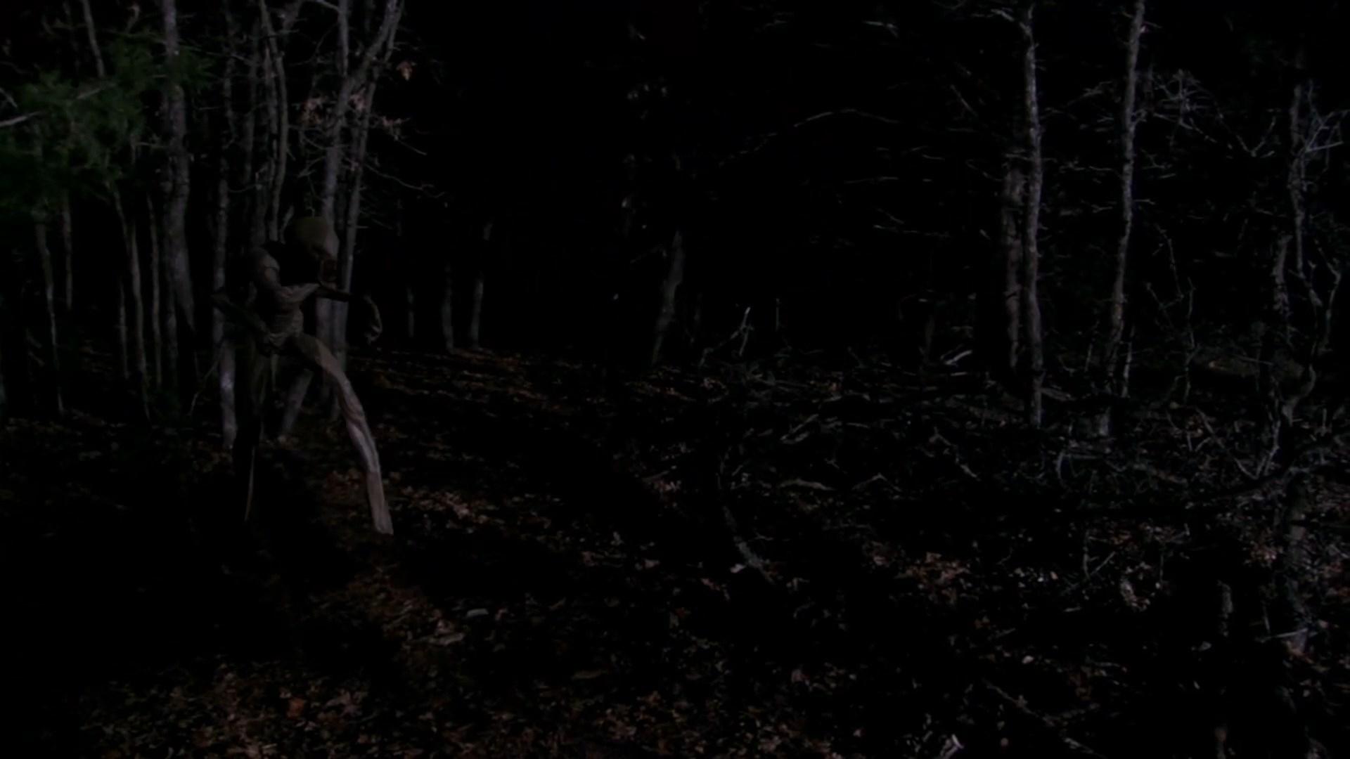 Backdrop for The Hunt