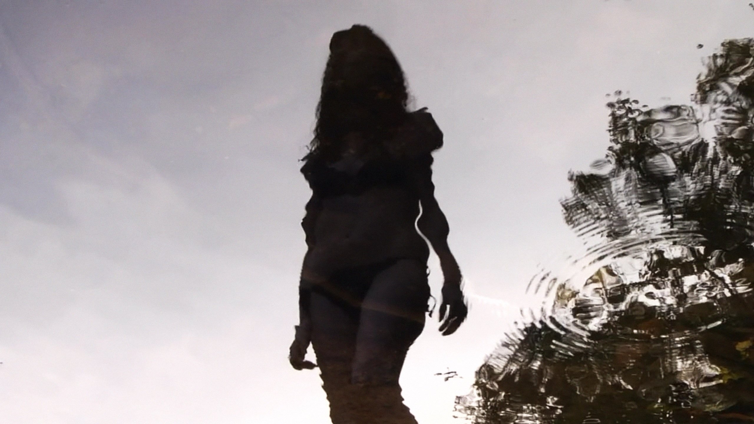 Backdrop for Toad Road