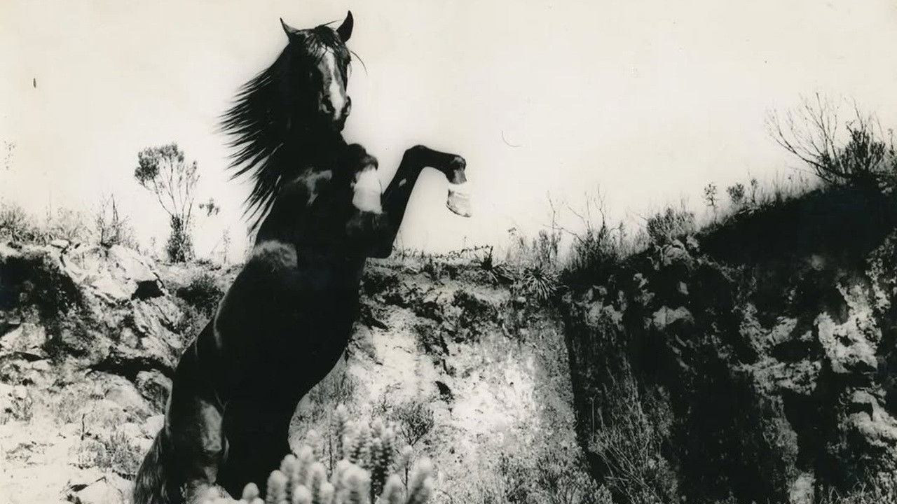 Backdrop for The Burning Body