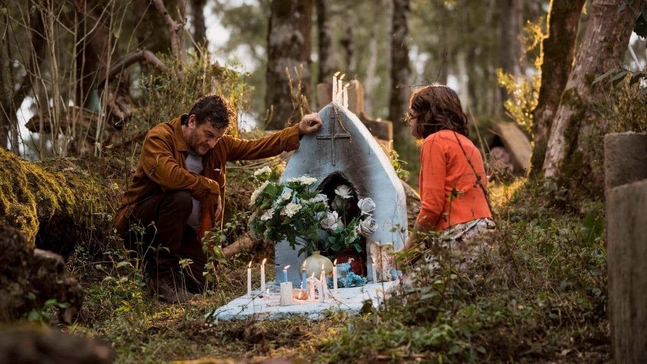 Backdrop for Water Pigs