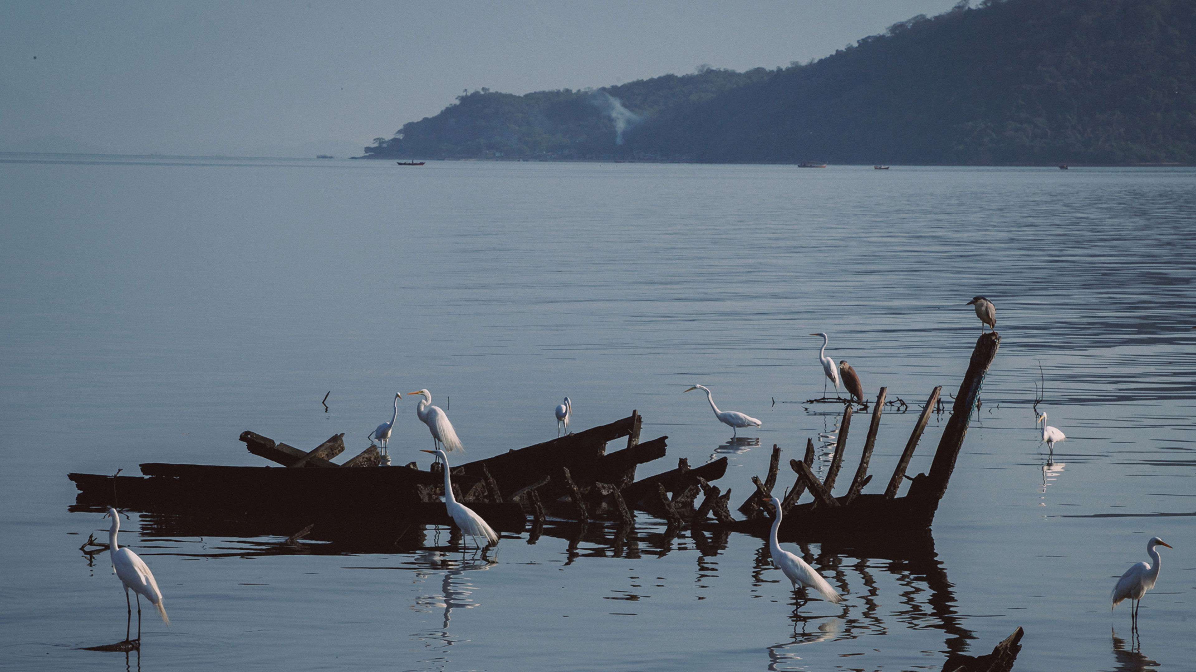 Backdrop for Antes do Último Adeus