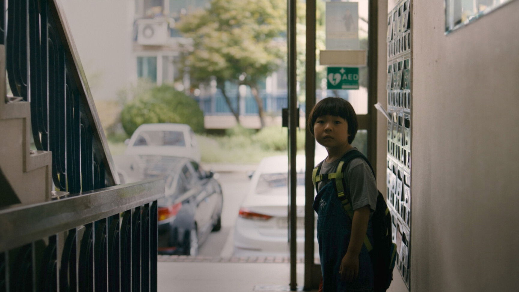 Backdrop for When Mushroom Blooms