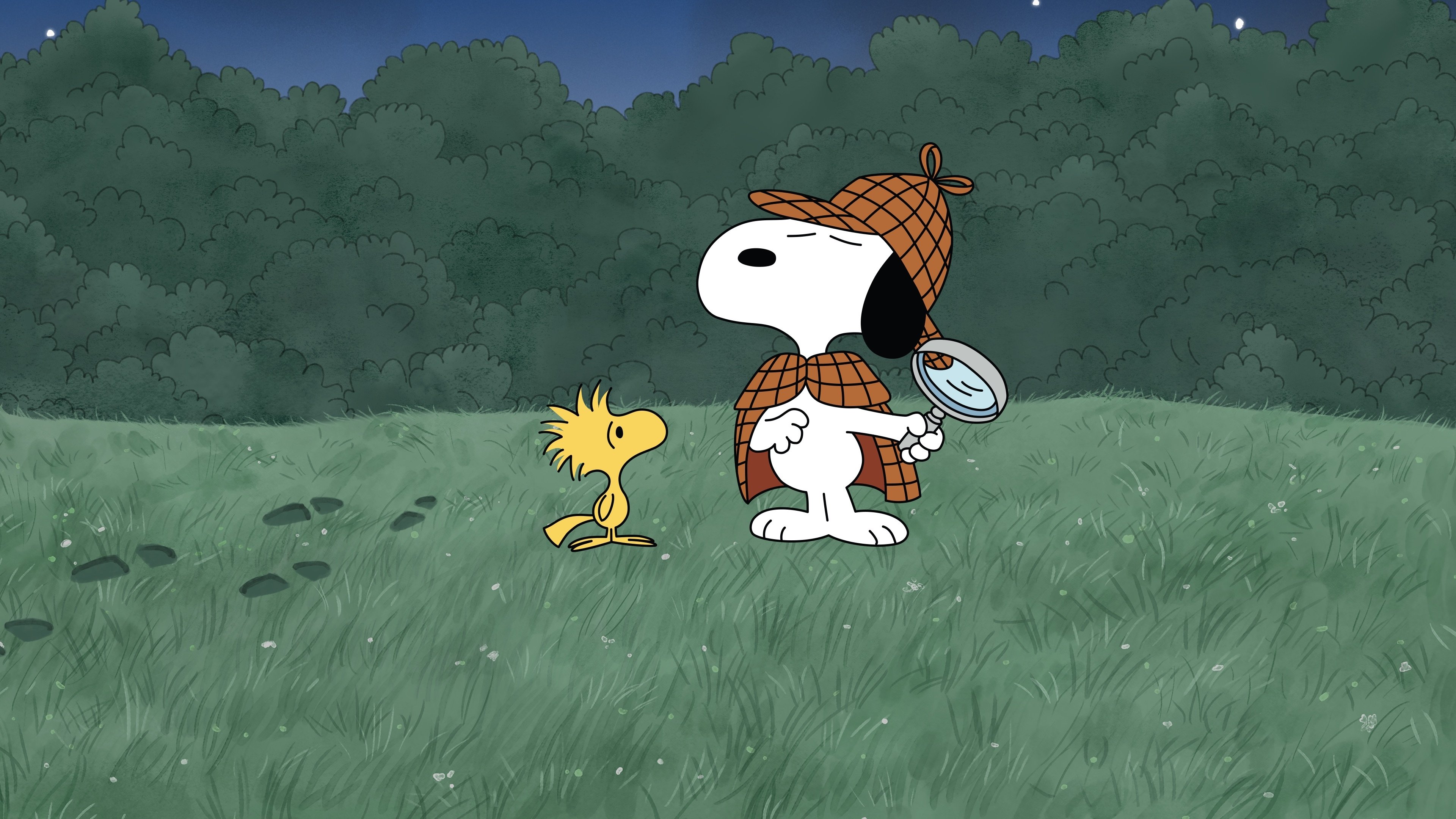 Backdrop for It's a Mystery, Charlie Brown