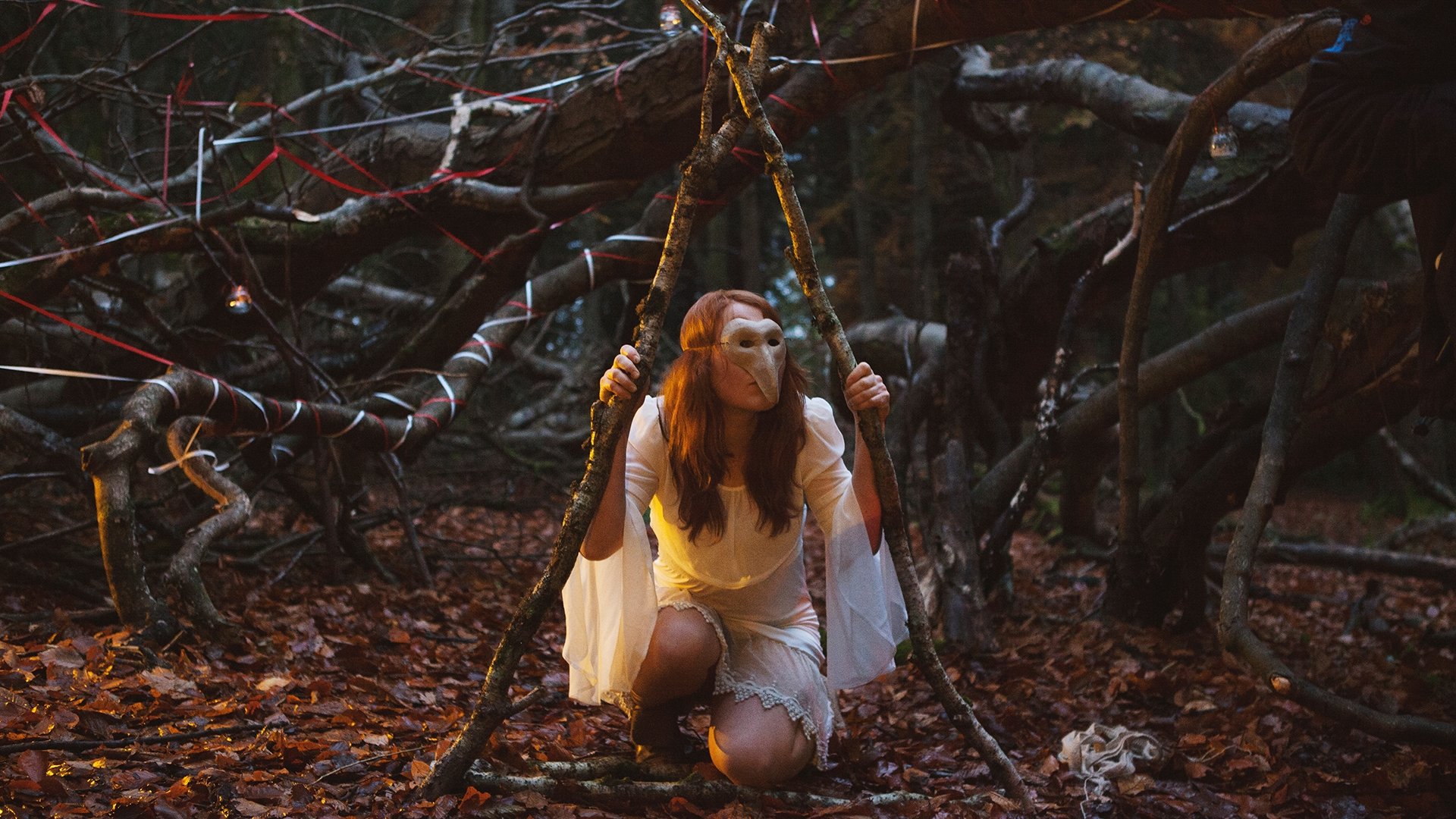 Backdrop for Webcast