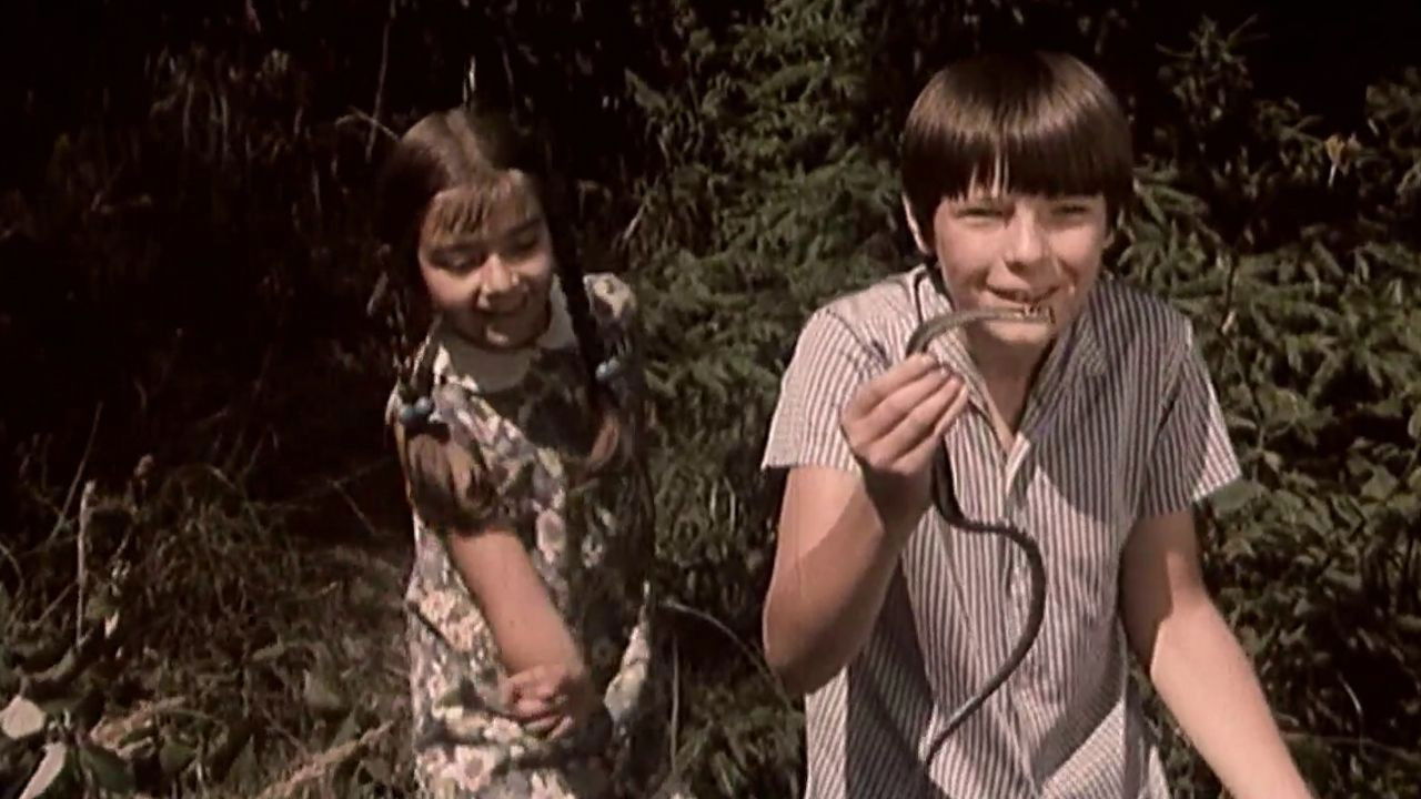 Backdrop for Vacations at Grandma's