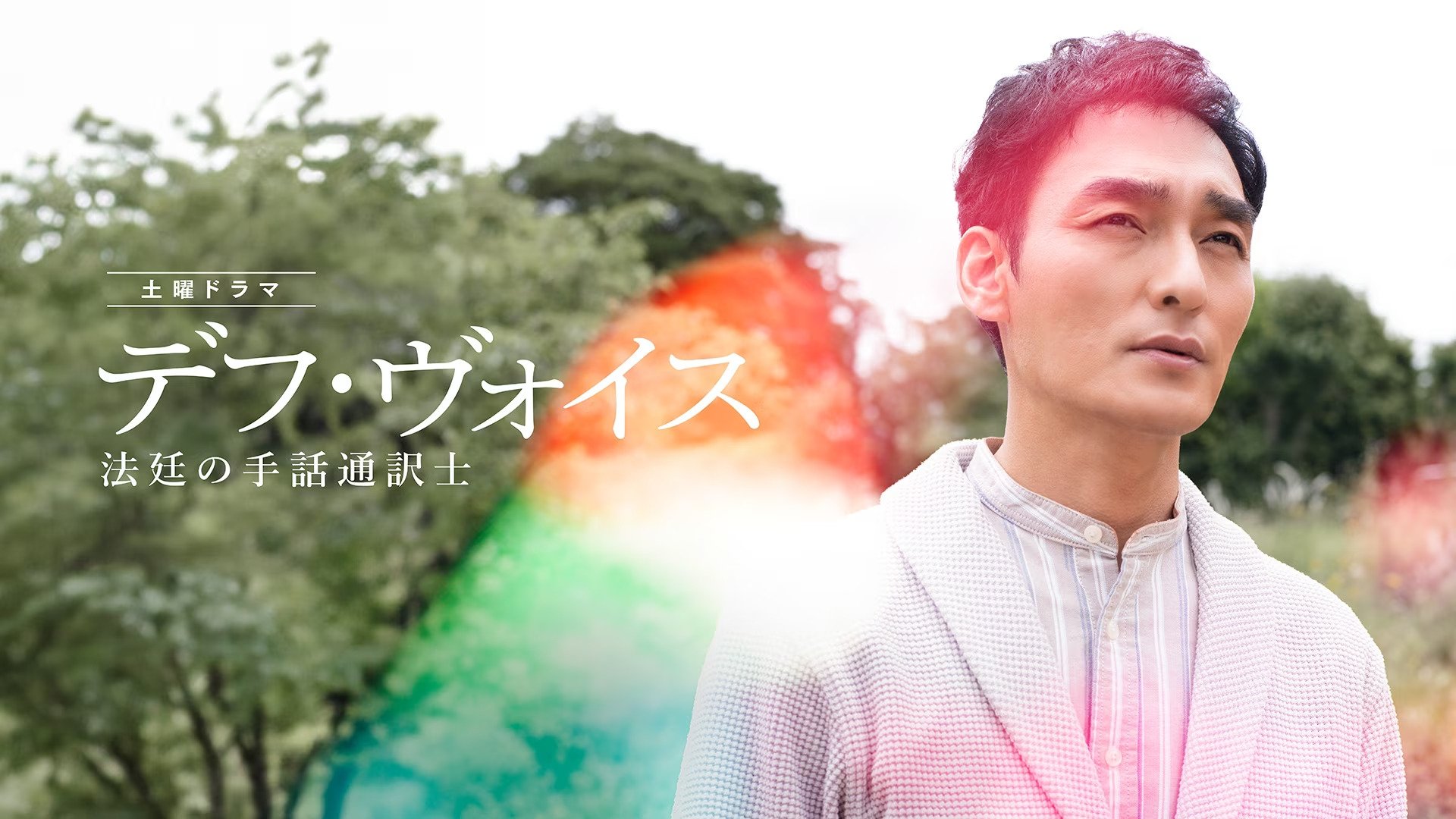 Backdrop for Deaf Voice: A Sign-Language Interpreter in Court