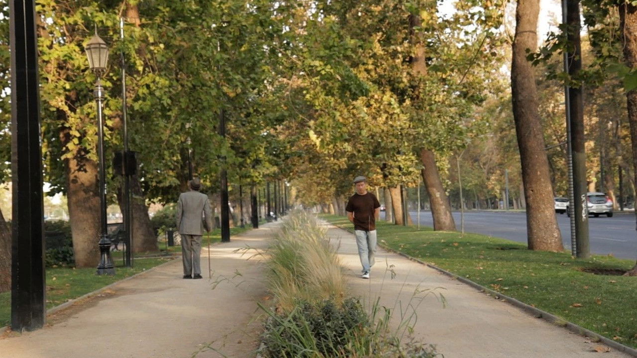 Backdrop for Shining Moon