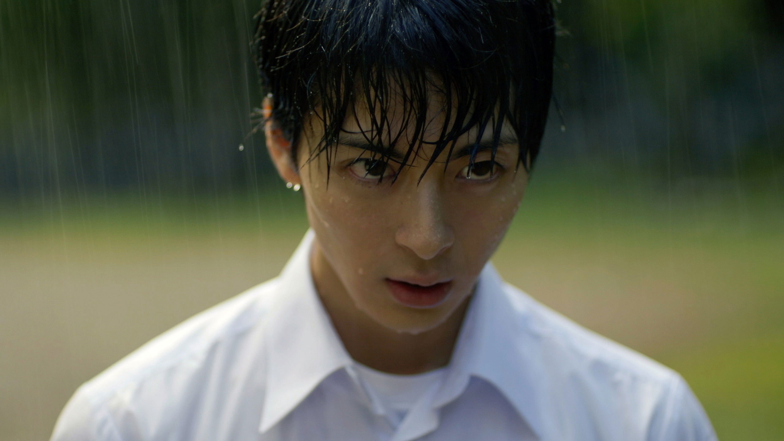 Backdrop for Lights of Kyoto