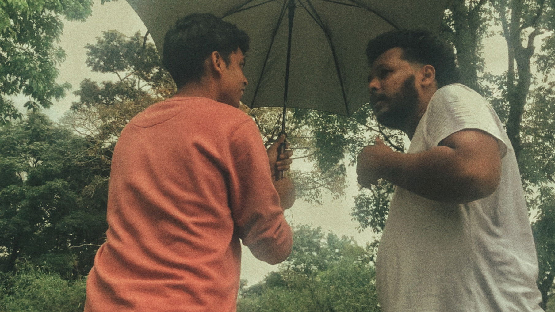 Backdrop for The Art of Fabulous Fibbing: A Mockumentary