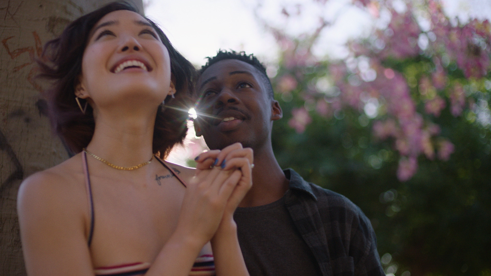 Backdrop for Pink Opaque