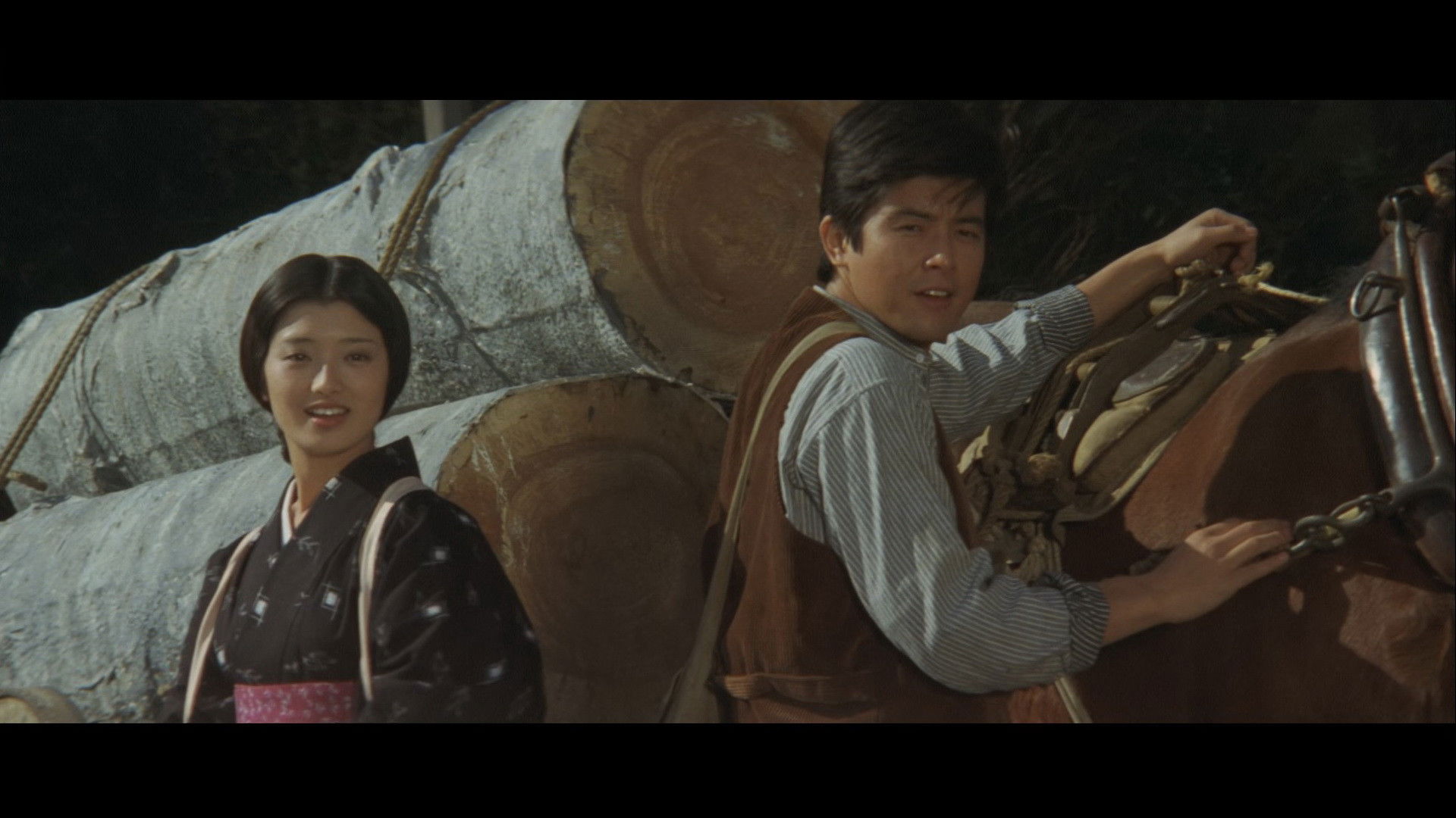 Backdrop for Dances of Flame