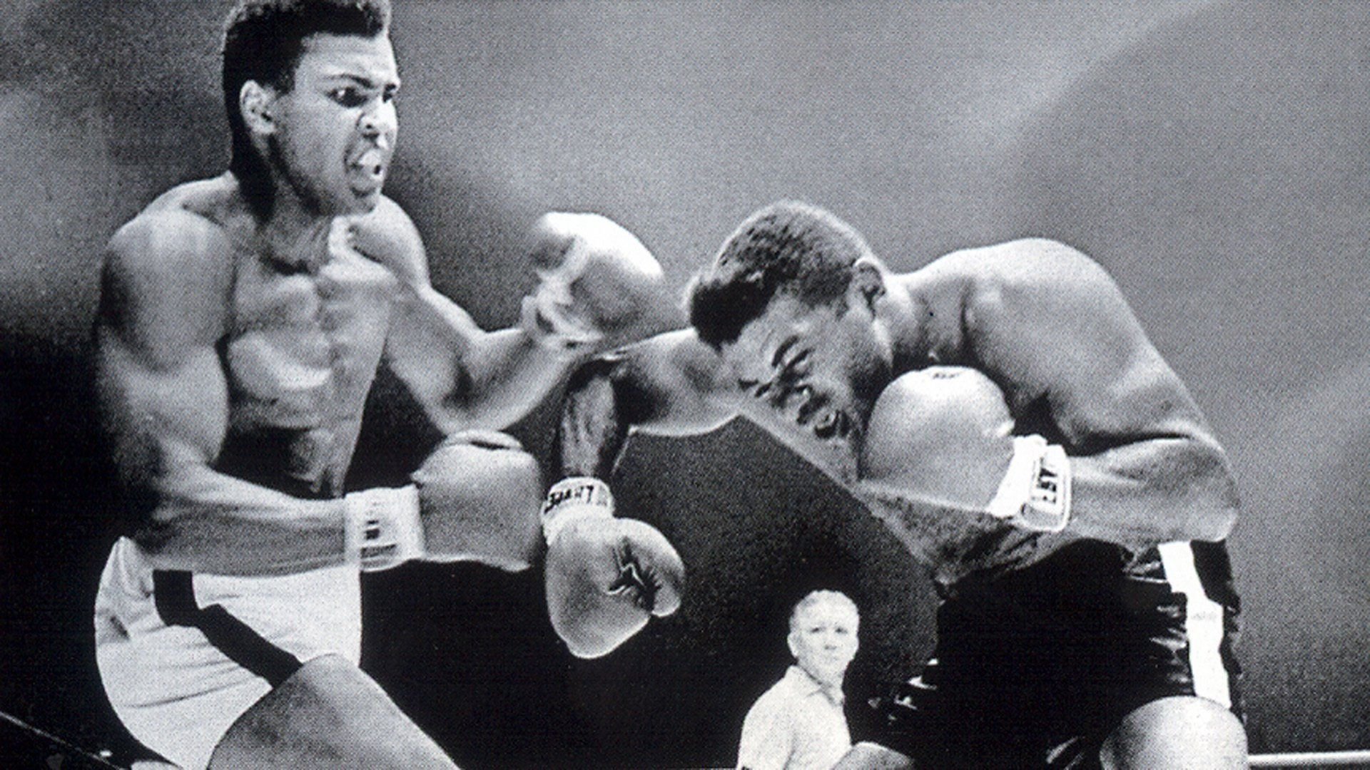 Backdrop for Muhammad Ali - Through The Eyes Of The World