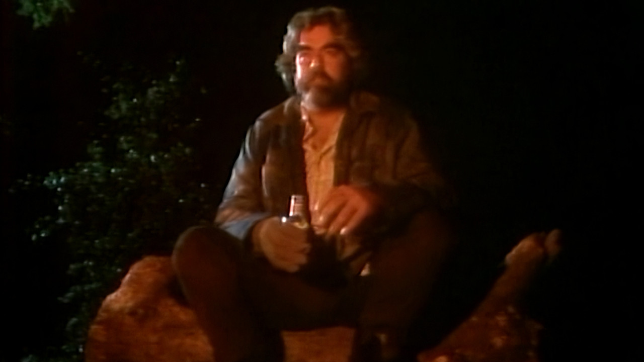 Backdrop for Campfire Tales