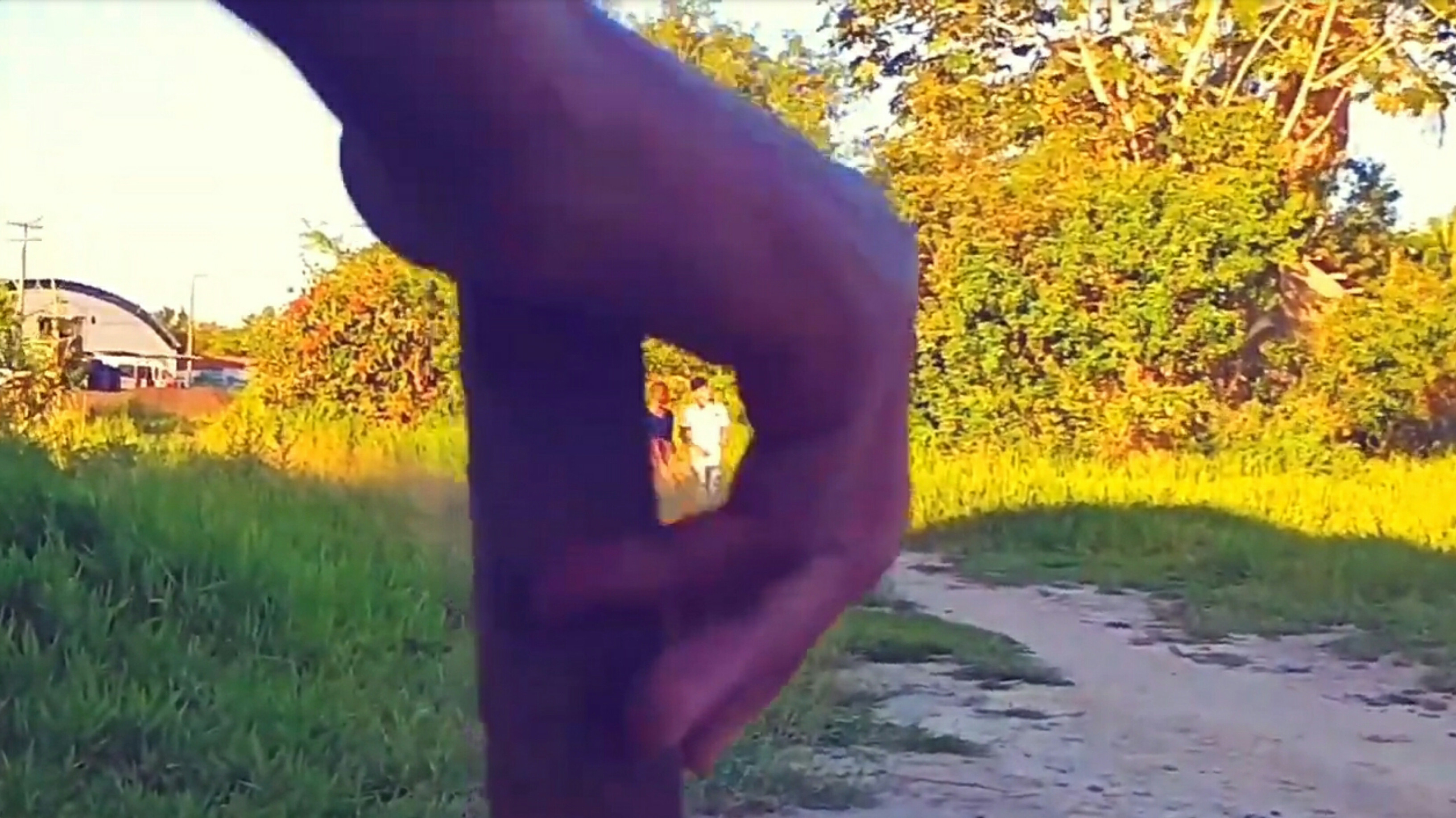 Backdrop for NEGOBOY