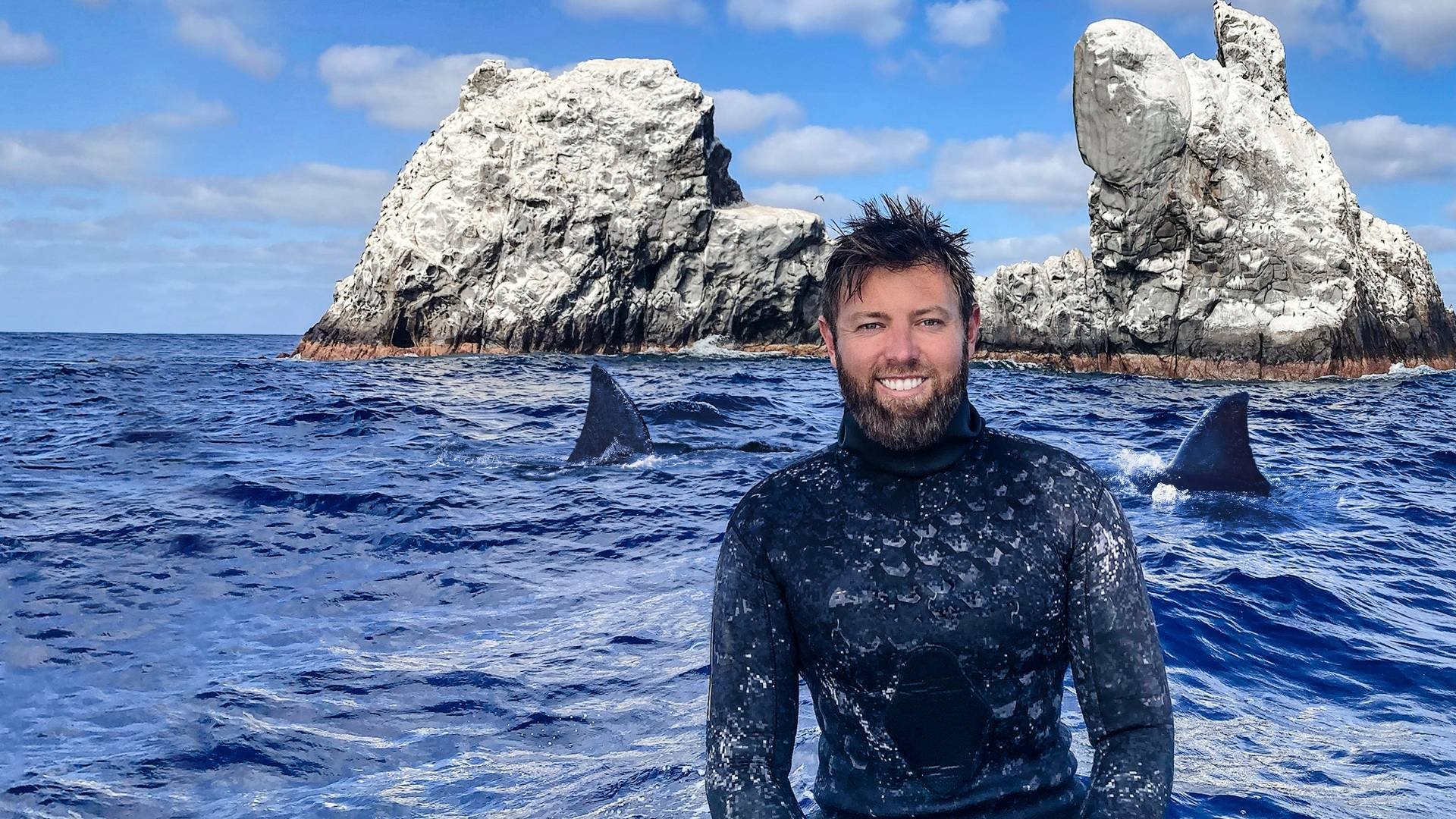 Backdrop for Mystery of the Black Demon Shark