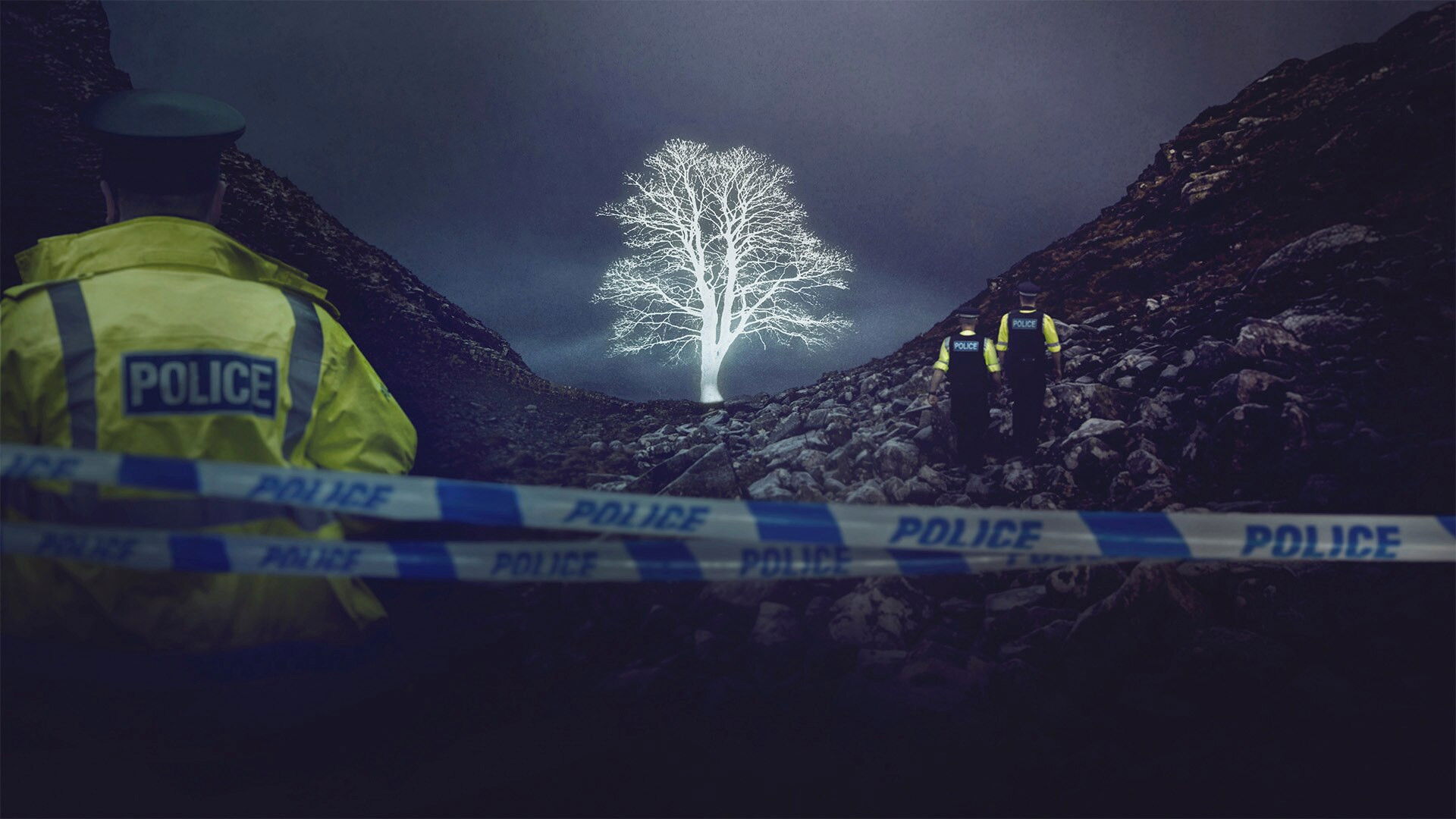 Backdrop for The Sycamore Gap Mystery