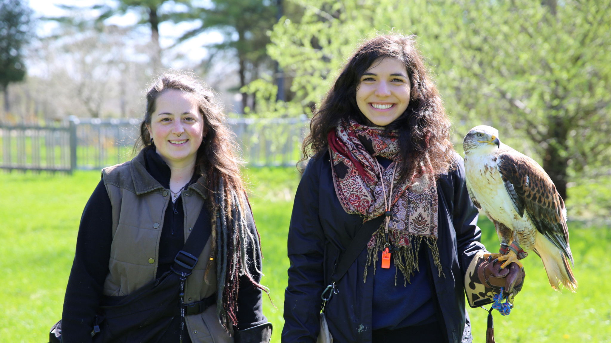 Backdrop for Un safari près de chez nous