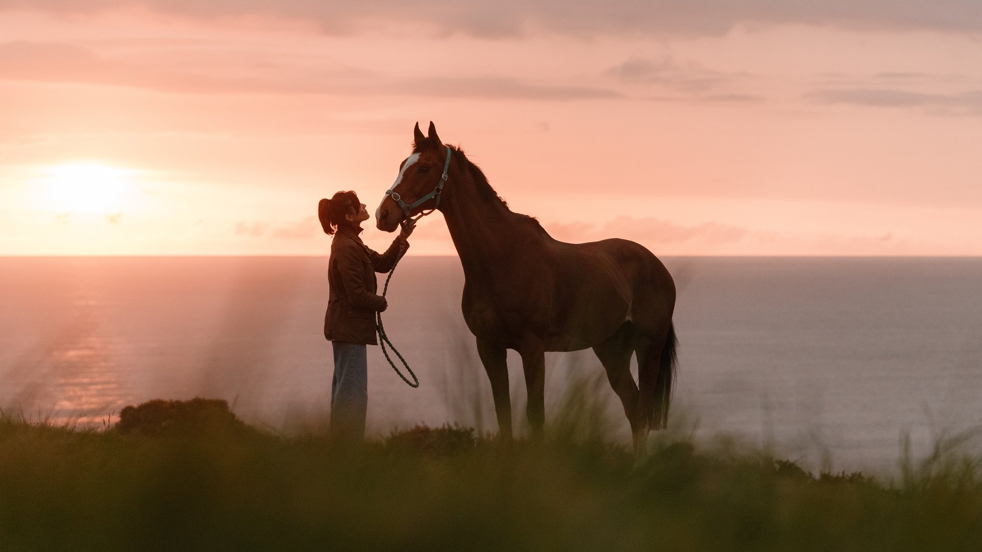 Backdrop for Rosamunde Pilcher: Jahrestag