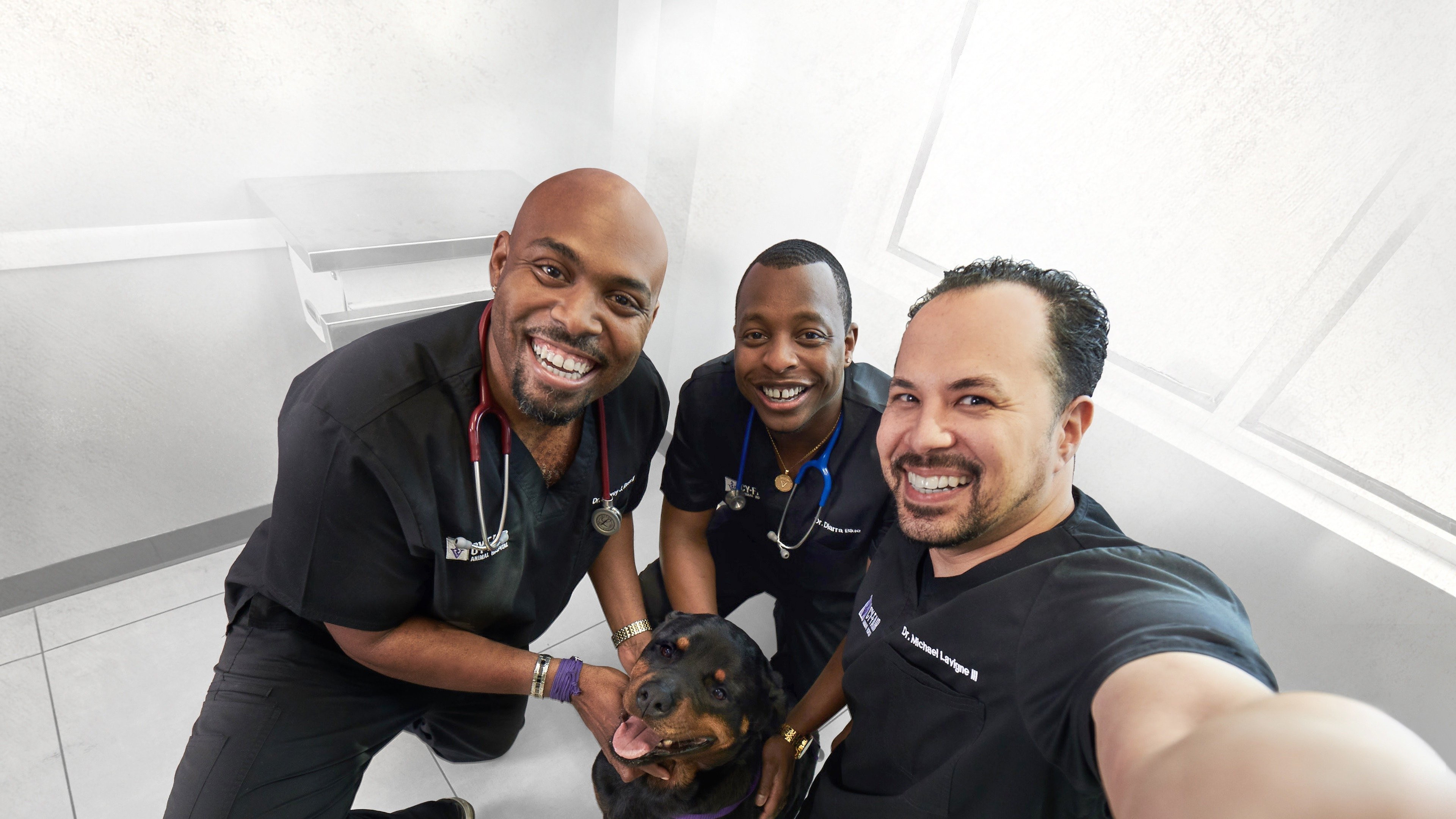 Backdrop for The Vet Life