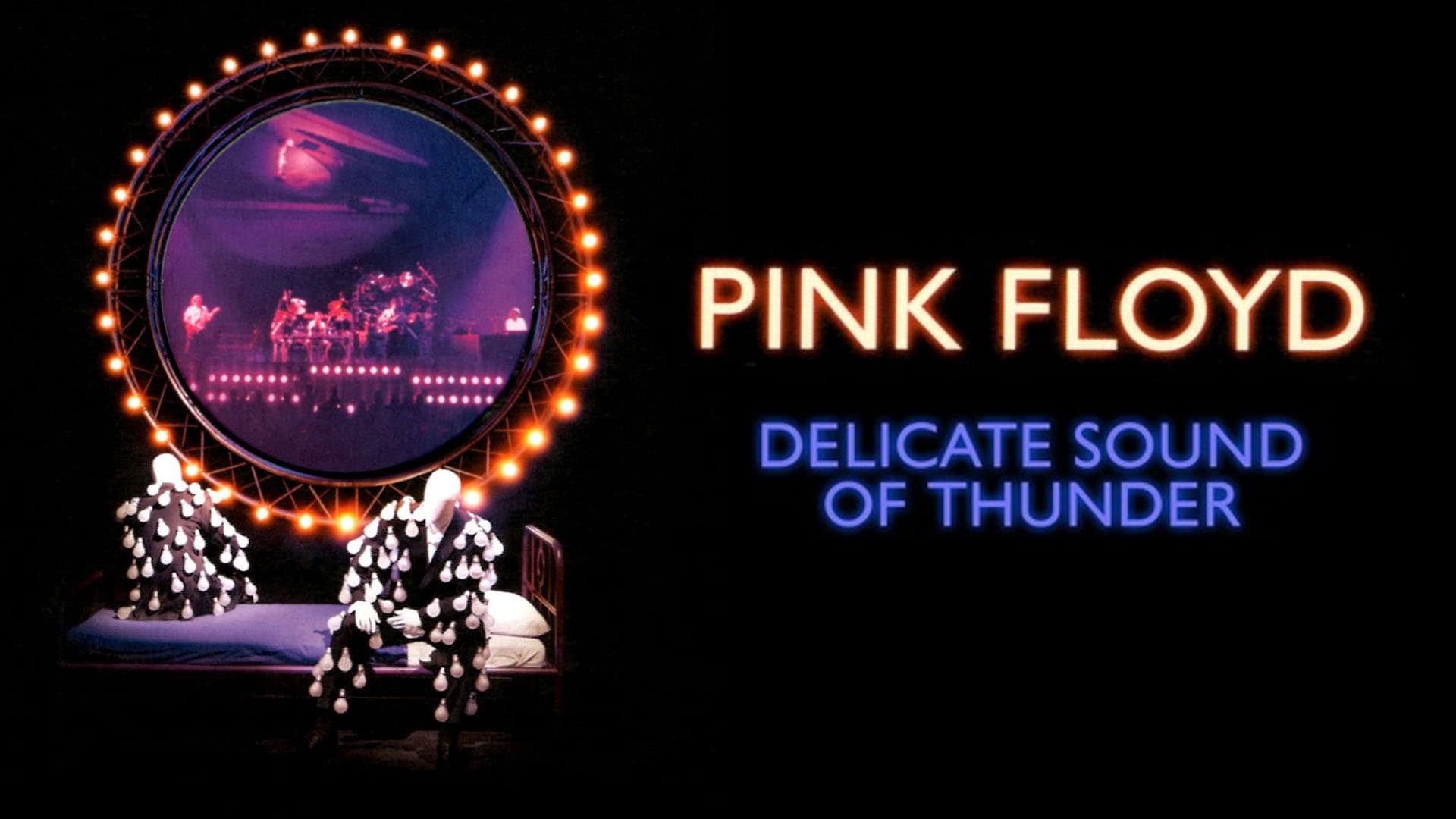 Backdrop for Pink Floyd: The Later Years, Vol 2 - Delicate Sound of Thunder