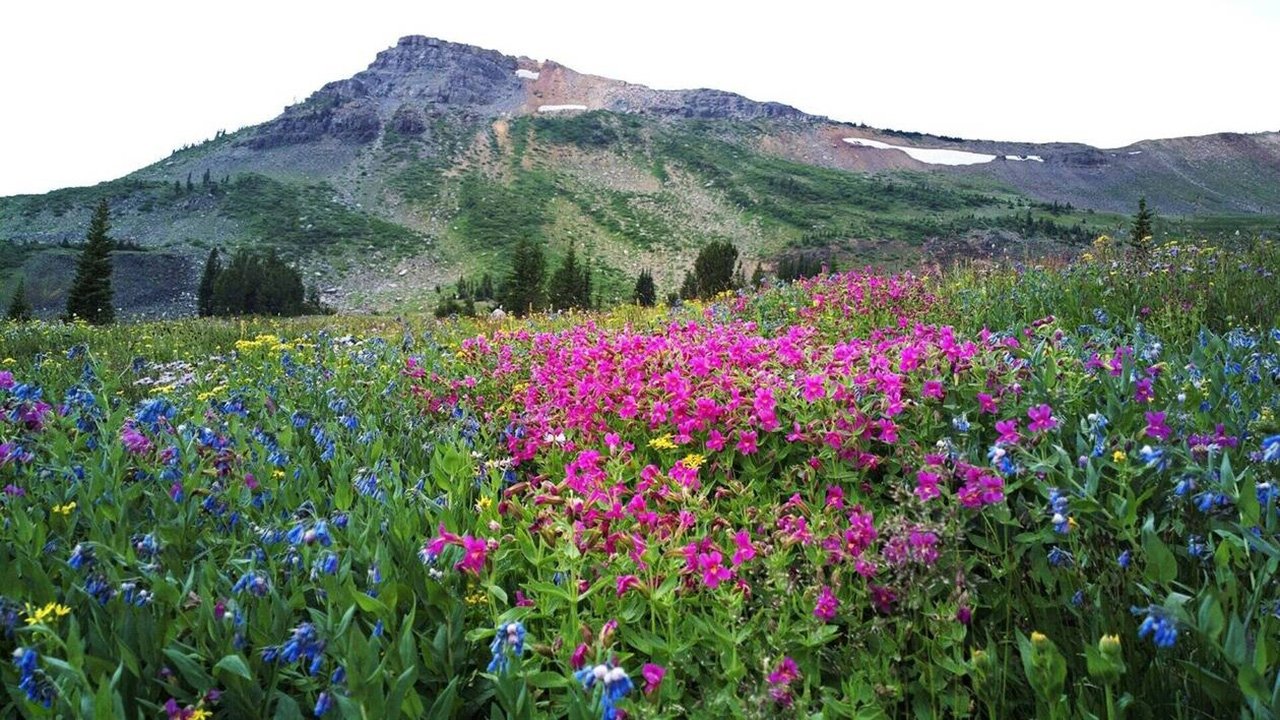 Backdrop for Amerikas Naturwunder