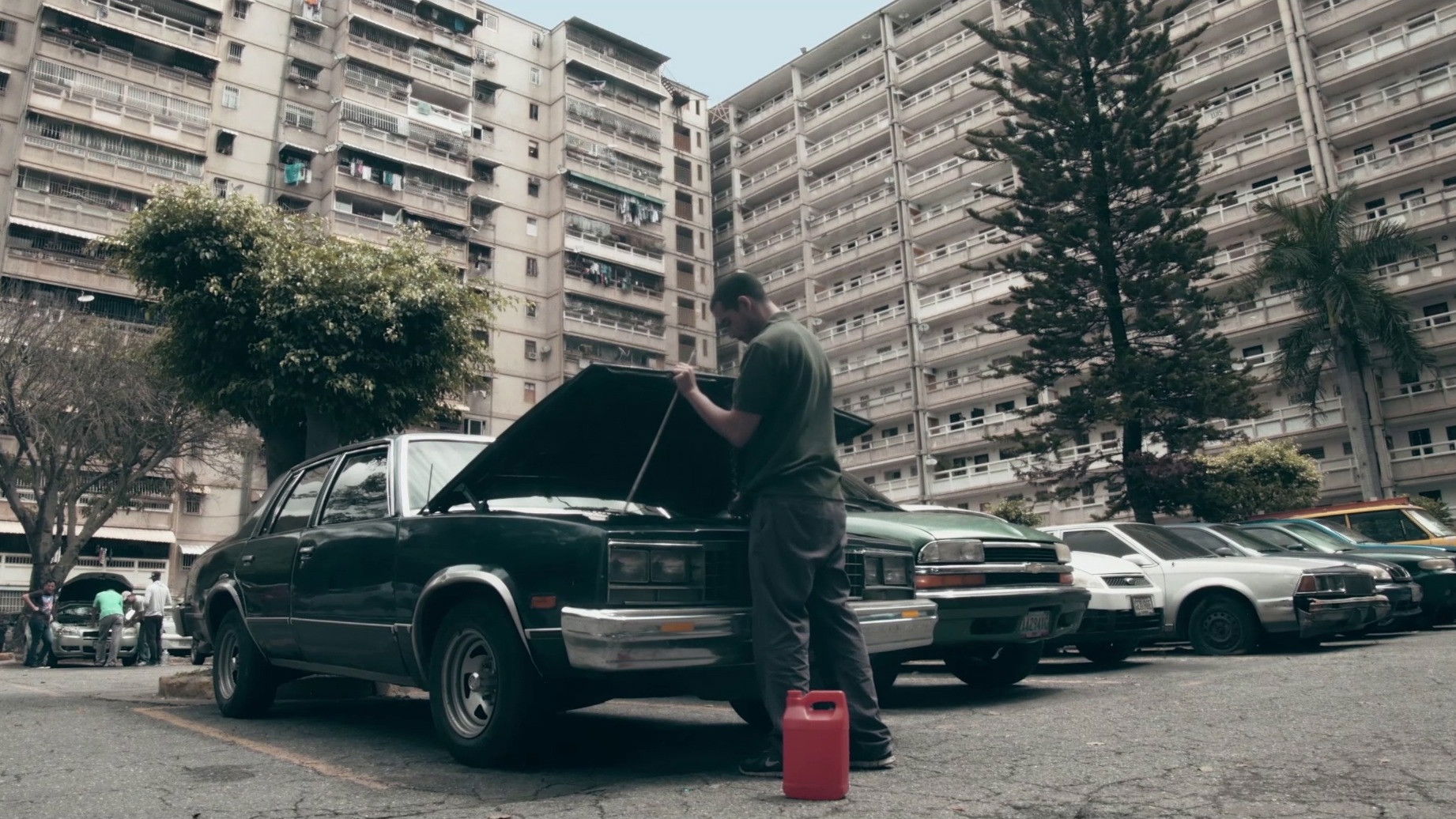 Backdrop for Polilla