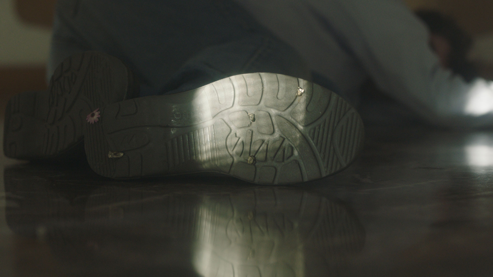 Backdrop for Negative Path