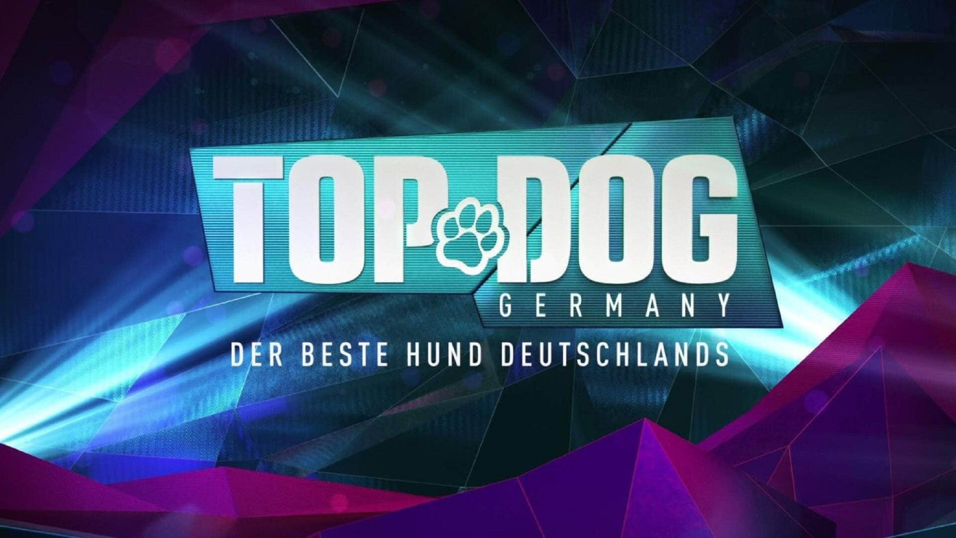 Backdrop for Top Dog Germany – Der beste Hund Deutschlands