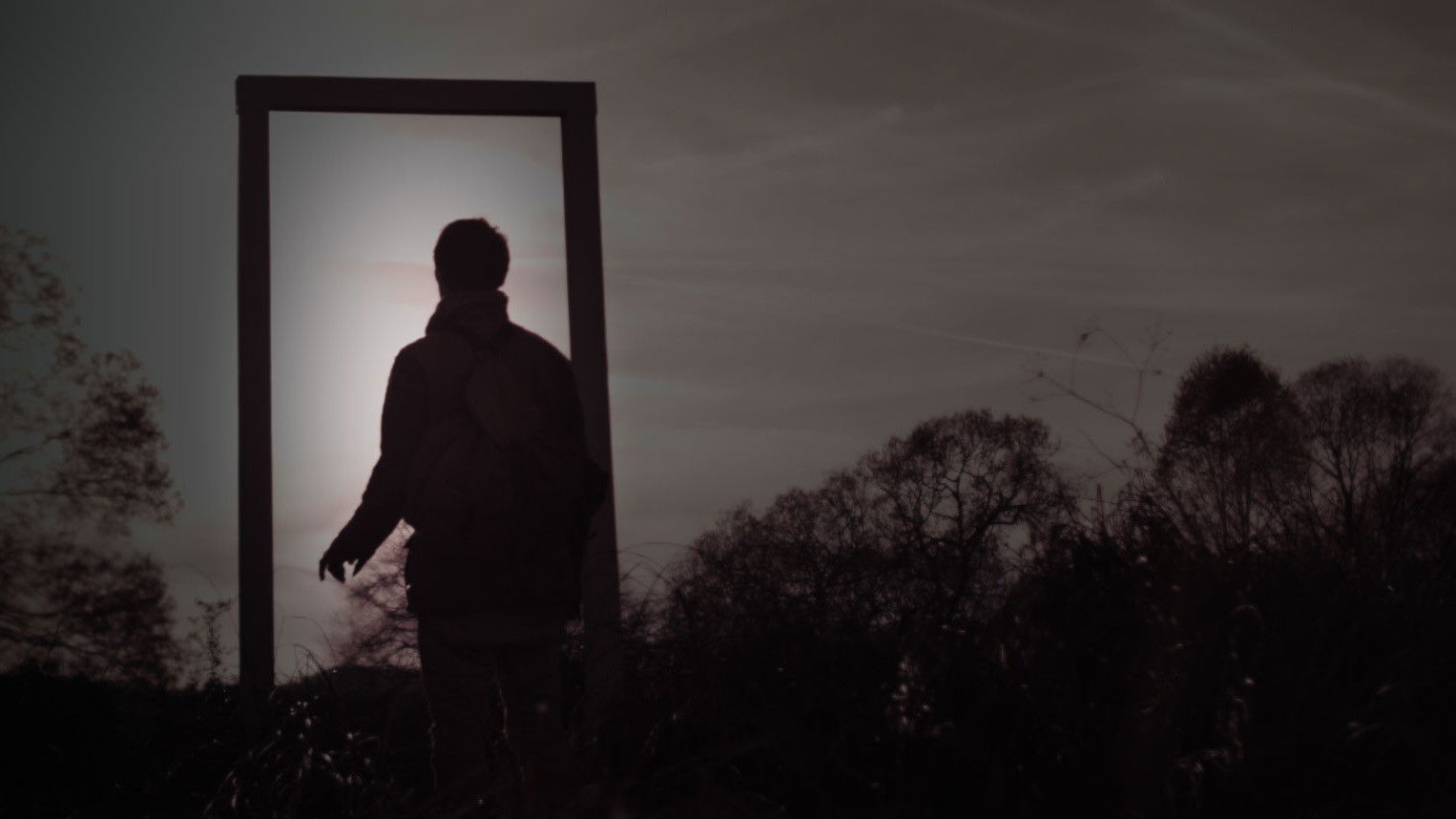 Backdrop for The Forest