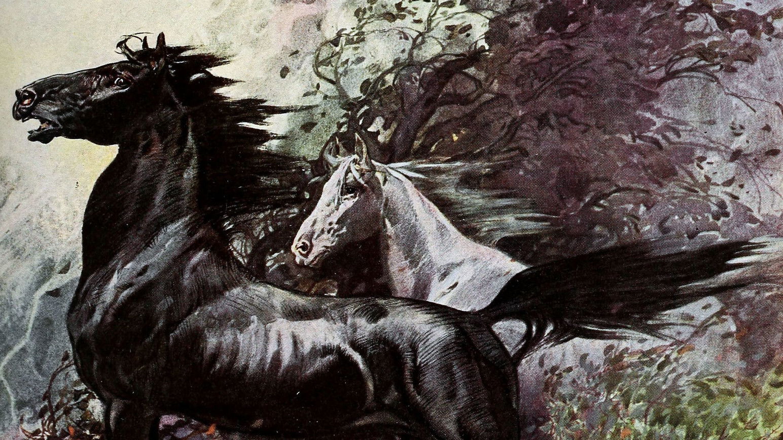 Backdrop for King of the Wild Horses