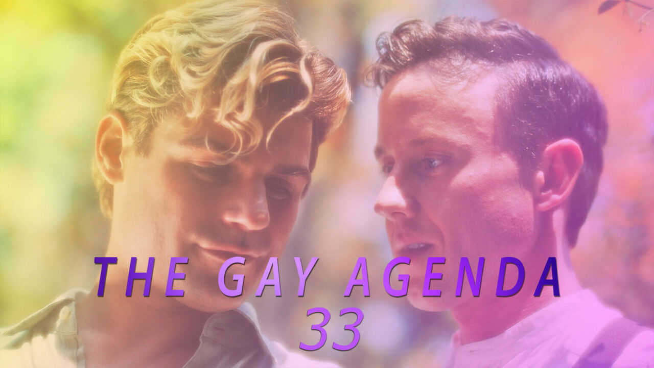 Backdrop for The Gay Agenda 33