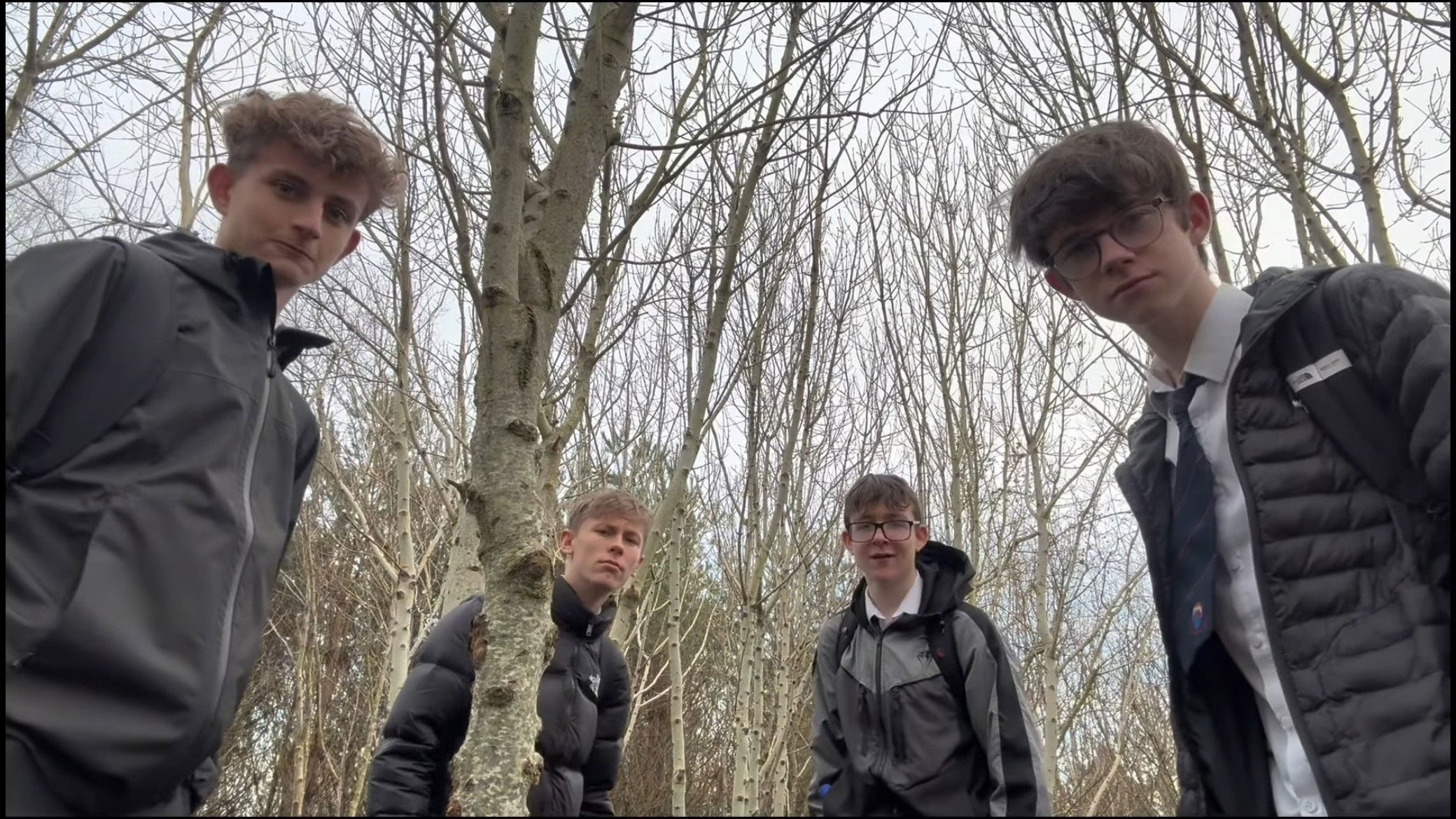 Backdrop for A Wise Mystical Christmas