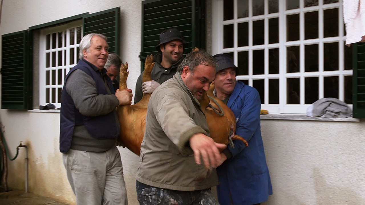 Backdrop for Raul Brandão was a Great Writer...