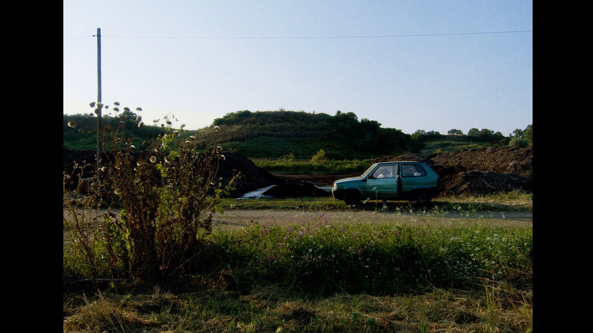 Backdrop for Panda Minore