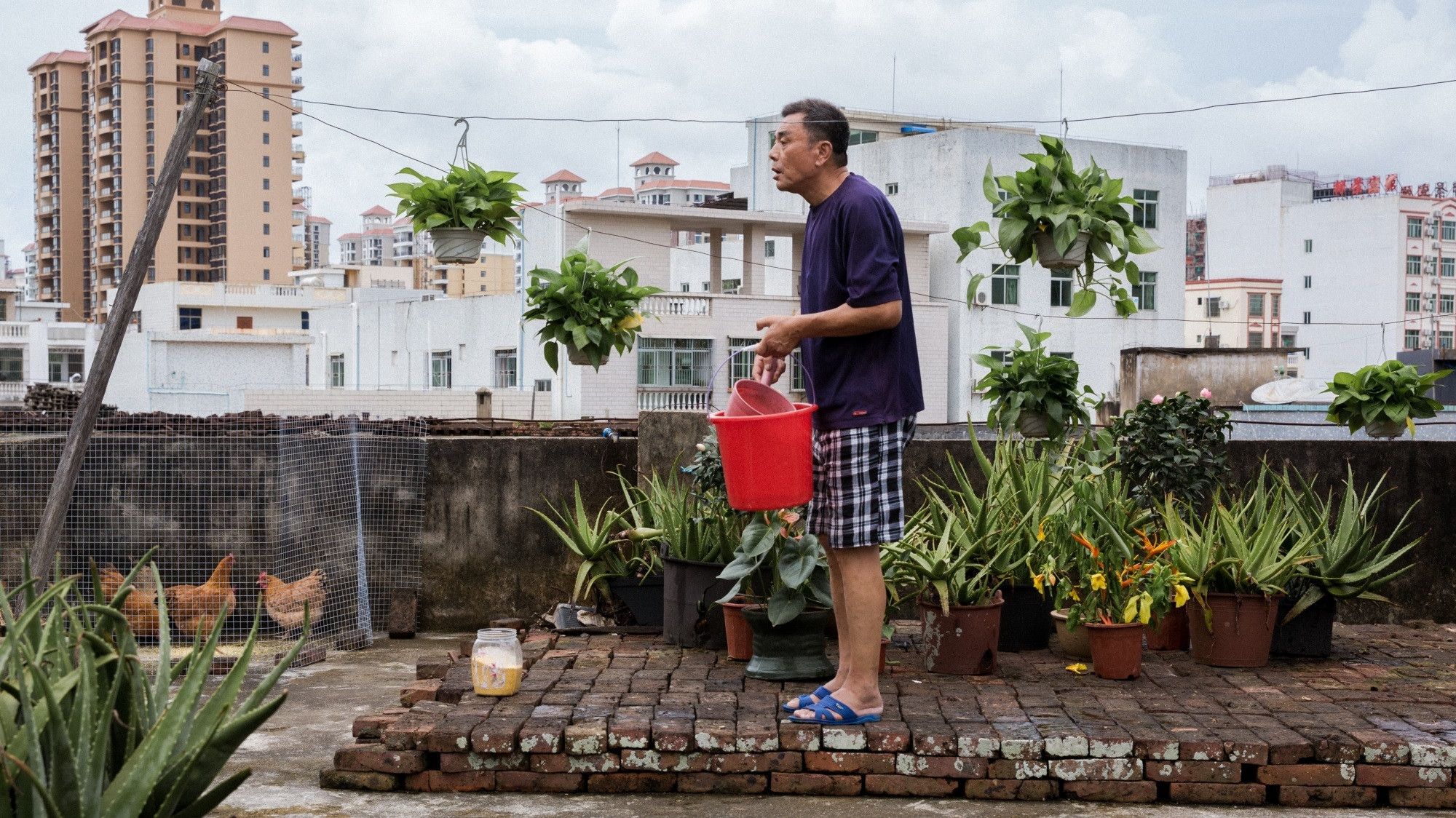 Backdrop for The Bridge