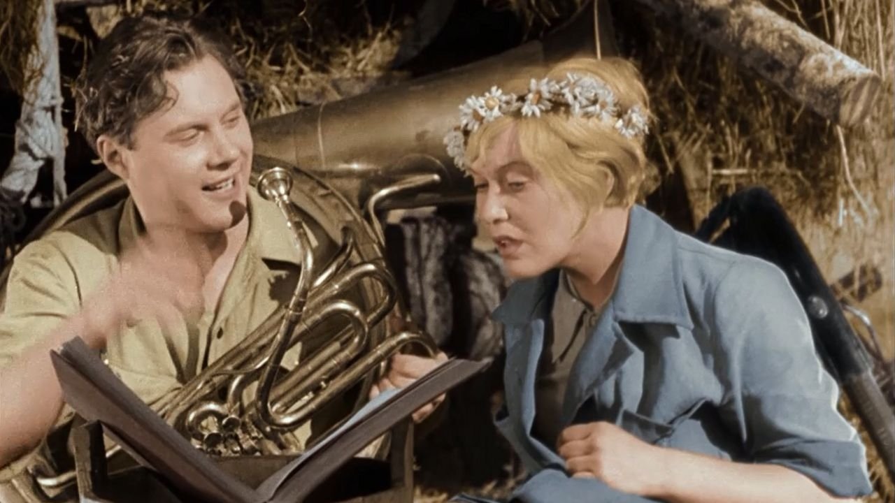 Backdrop for Volga - Volga