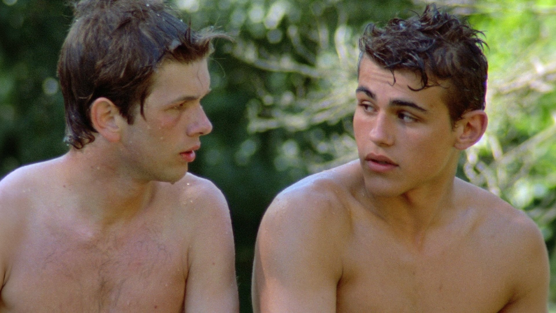 Backdrop for Wild Reeds