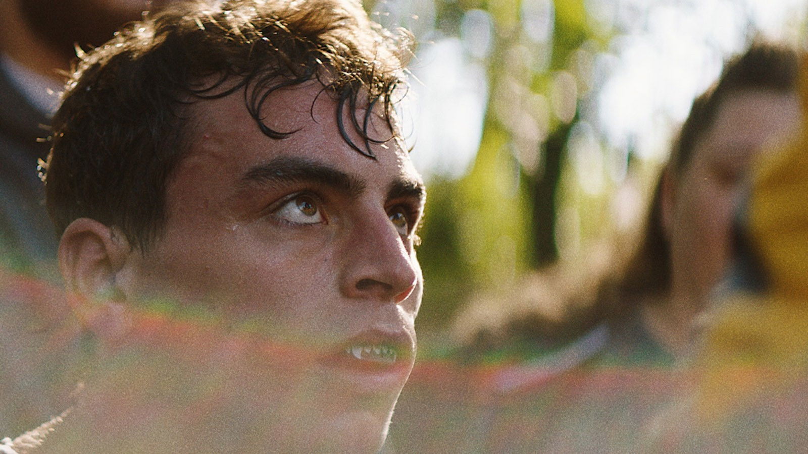 Backdrop for Lions in the Corner