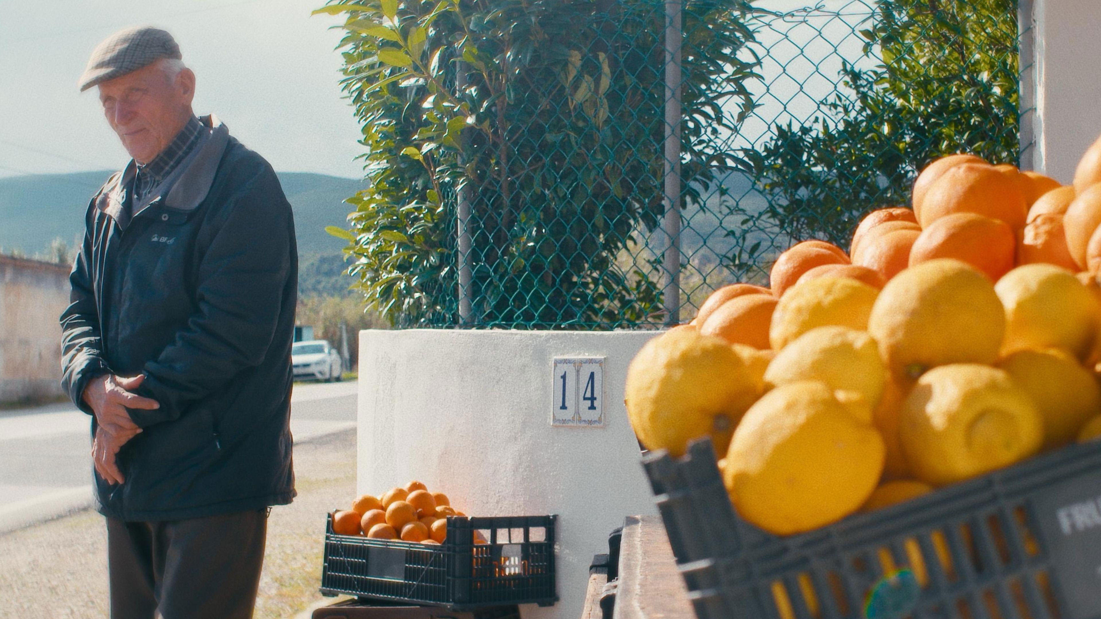 Backdrop for O Tempo De Comer Uma Laranja
