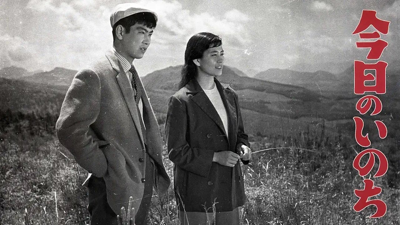 Backdrop for This Day's Life