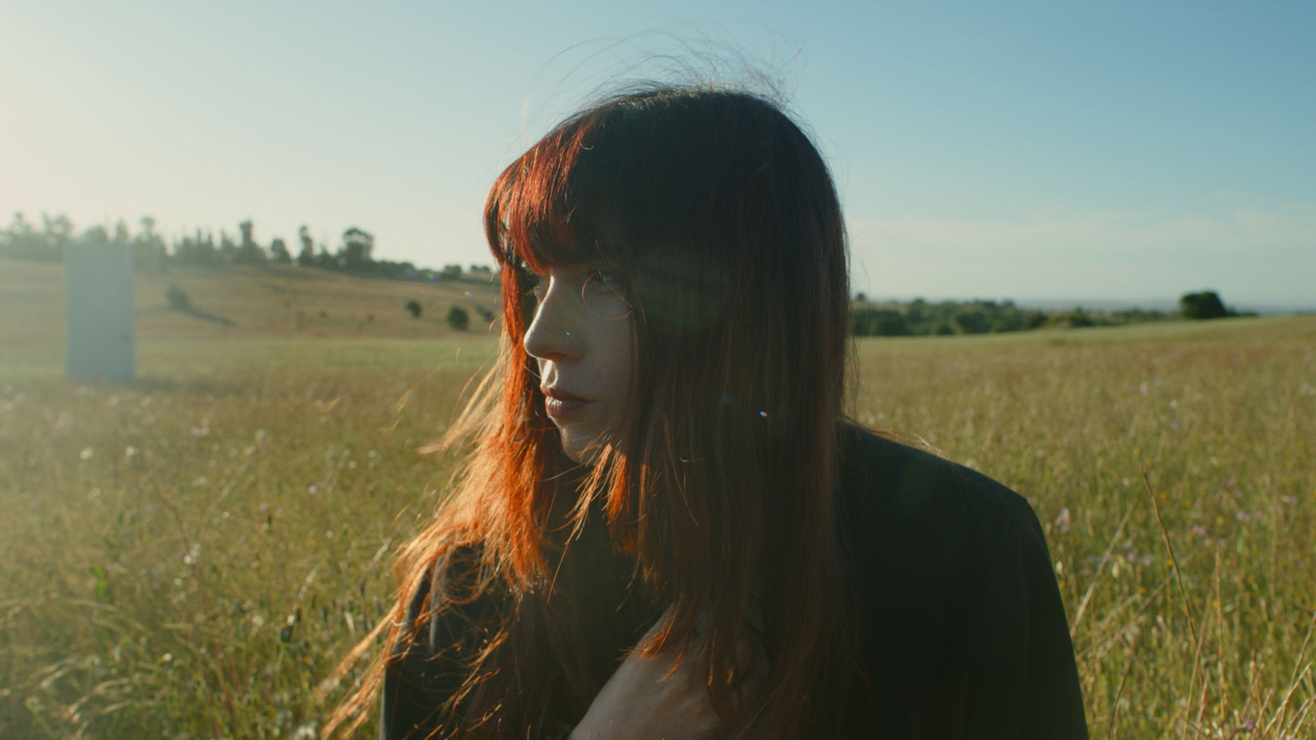 Backdrop for Génesis