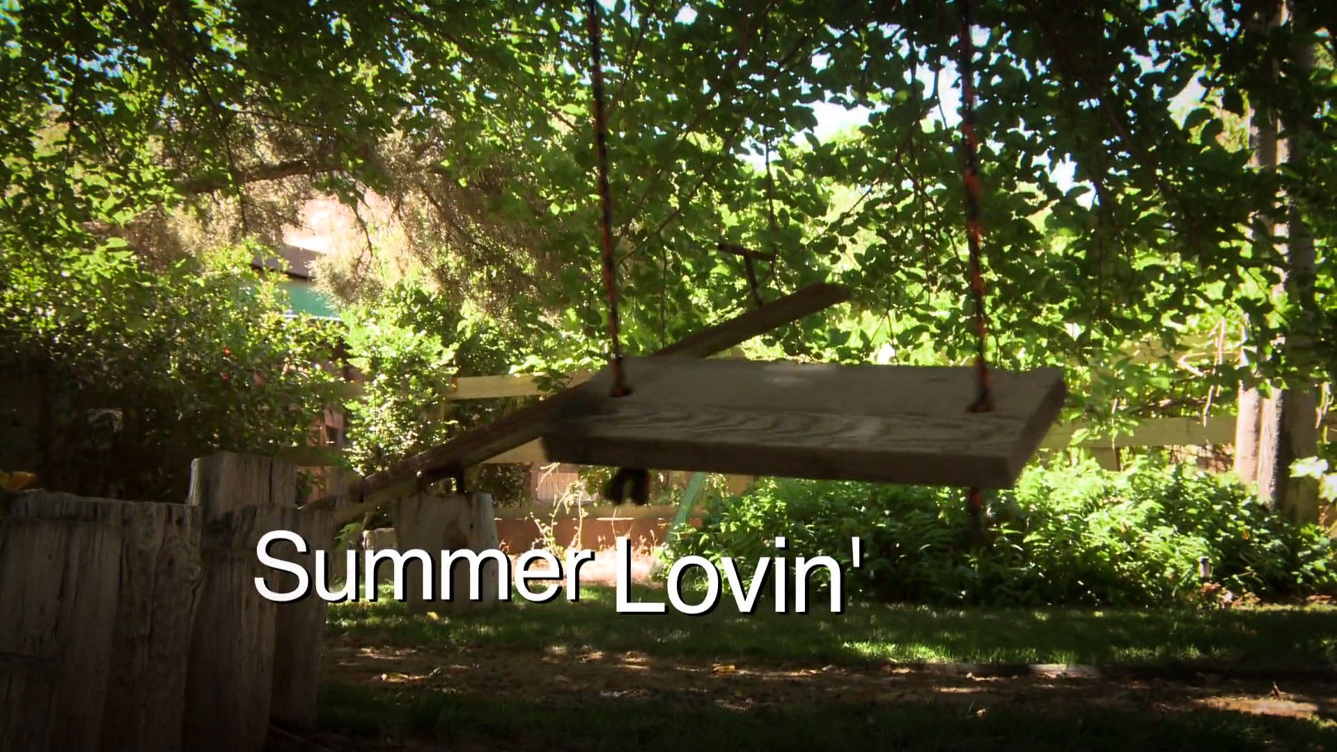 Backdrop for Summer Lovin'