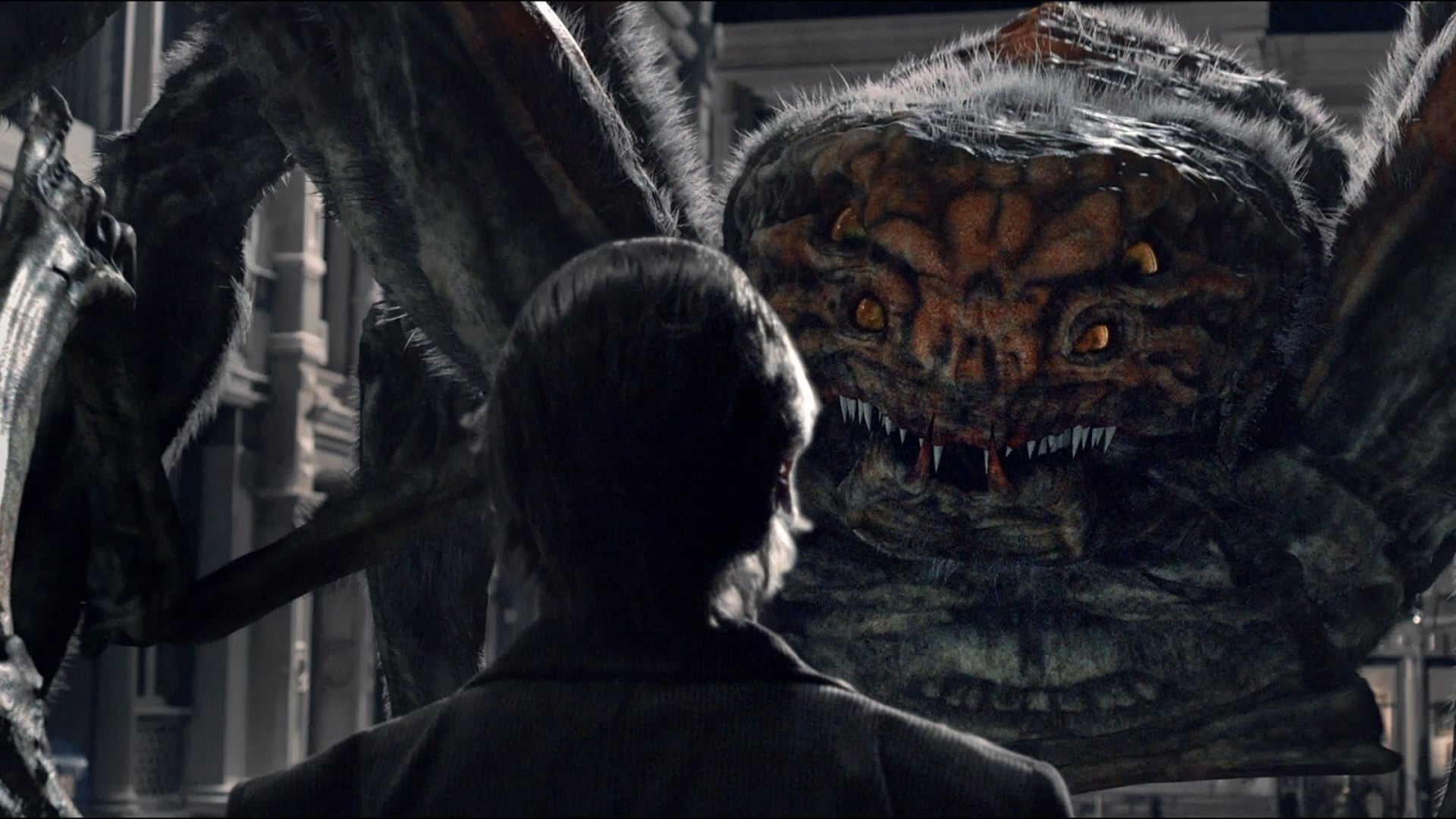 Backdrop for Spiders