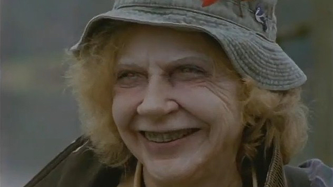 Backdrop for The Road Virus Heads North